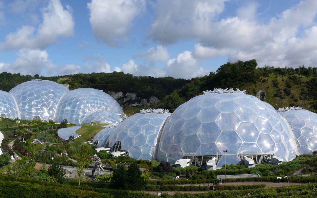 Trip to the Eden Project